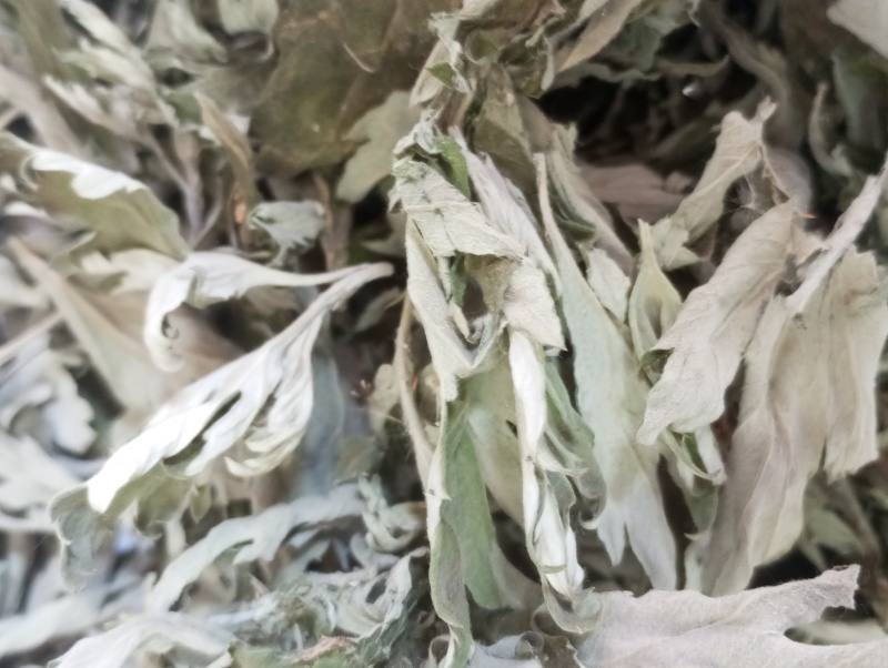 艾叶中药材新鲜艾叶草干货艾草叶艾叶干泡脚洗澡陈艾叶宛艾