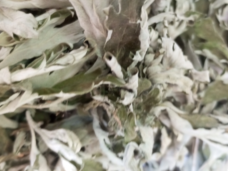 艾叶中药材新鲜艾叶草干货艾草叶艾叶干泡脚洗澡陈艾叶宛艾