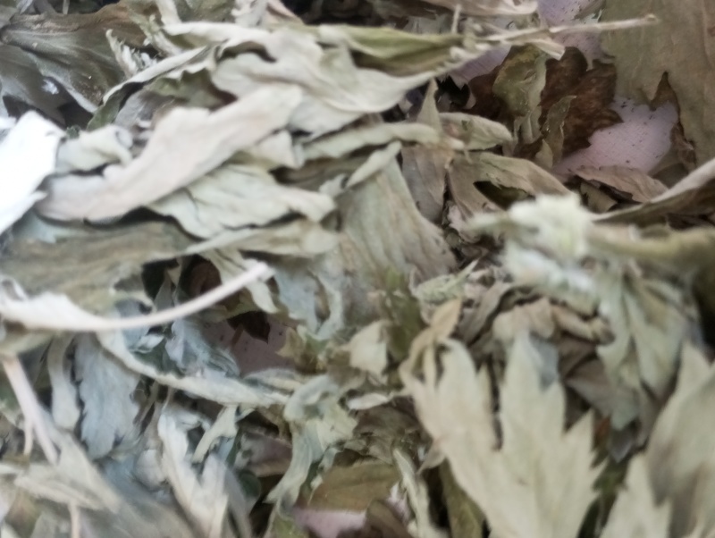 艾叶中药材新鲜艾叶草干货艾草叶艾叶干泡脚洗澡陈艾叶宛艾