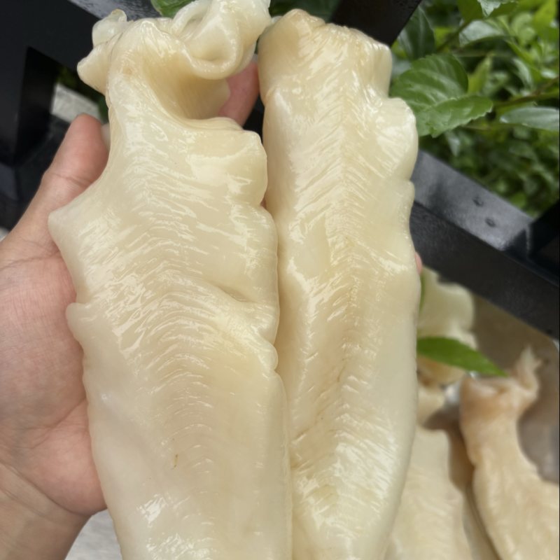 鱼胶，花胶黄花胶，蜘蛛胶，佐罗胶，甲肚胶