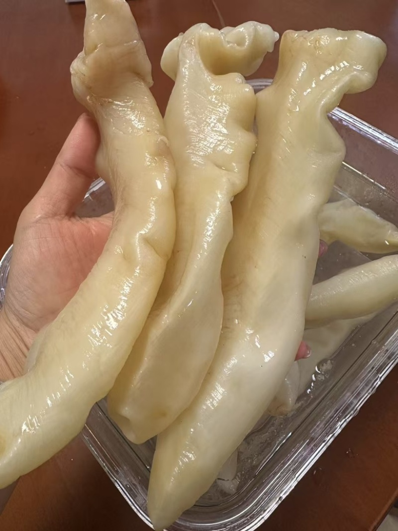 鱼胶，花胶黄花胶，蜘蛛胶，佐罗胶，甲肚胶