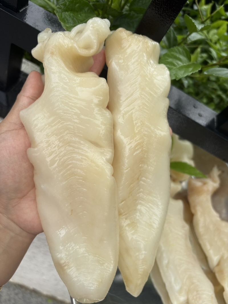鱼胶，花胶黄花胶，蜘蛛胶，佐罗胶，甲肚胶