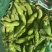 精品蚕豆大量上市