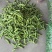 精品蚕豆大量上市