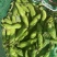 精品蚕豆大量上市