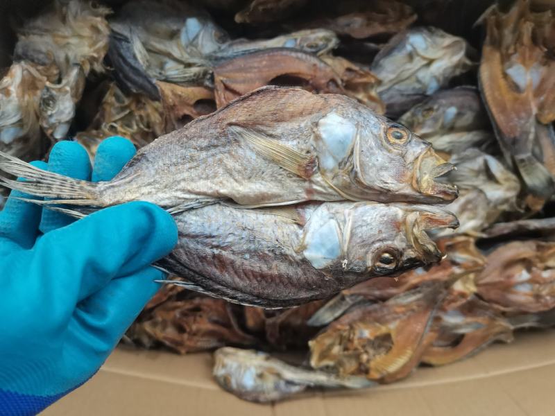 鱼干《淡水石斑》水库鱼//海南省/淡盐/烘干/包邮