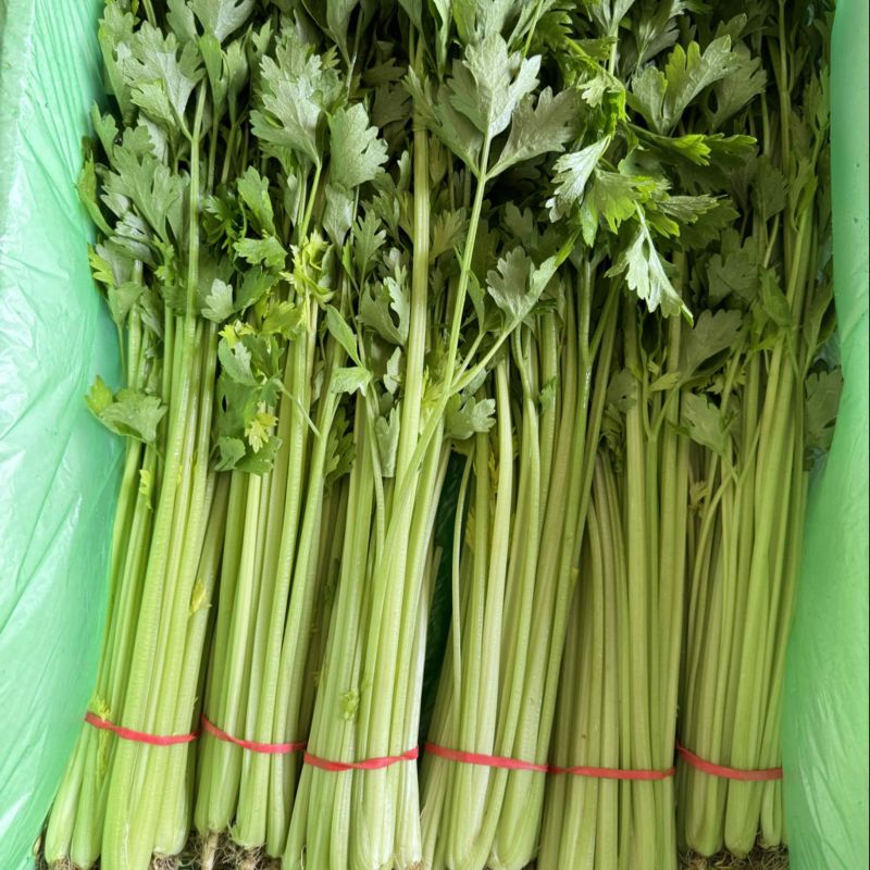 【精品】山东毛芹实力供货对接全国电商市场商超