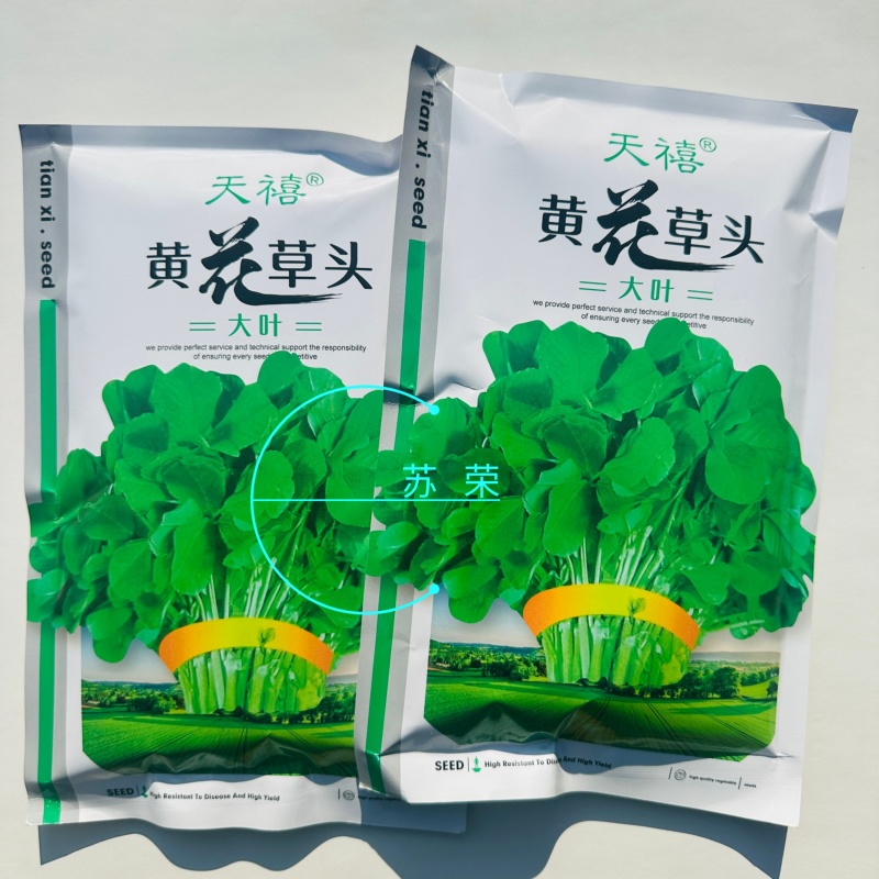天禧大叶黄花草头种子食用苜蓿草种子金花菜春秋季野菜农家菜