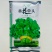 天禧大叶黄花草头种子食用苜蓿草种子金花菜春秋季野菜农家菜