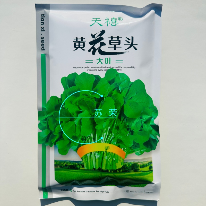 天禧大叶黄花草头种子食用苜蓿草种子金花菜春秋季野菜农家菜