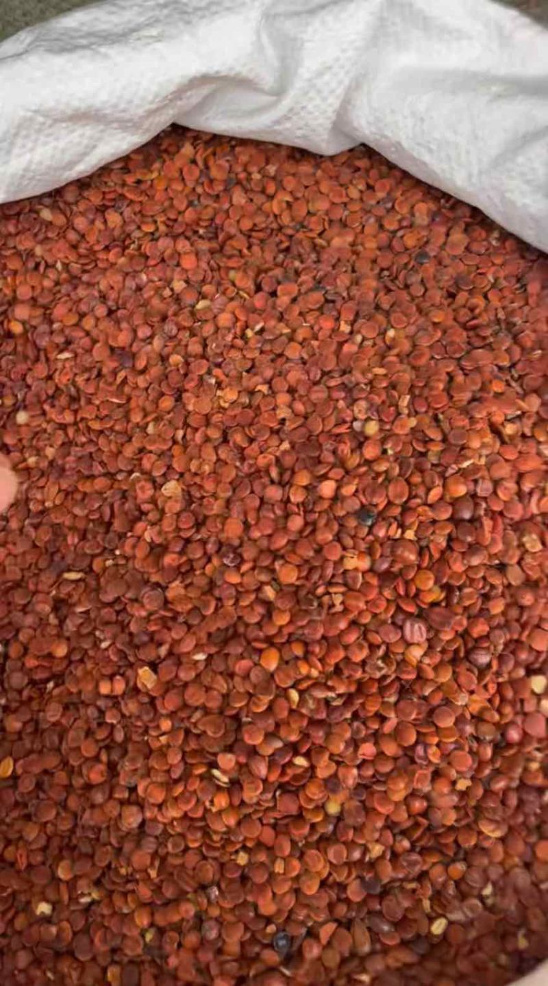 源头直供枣仁大量现货可零售批发质量保证欢迎订购