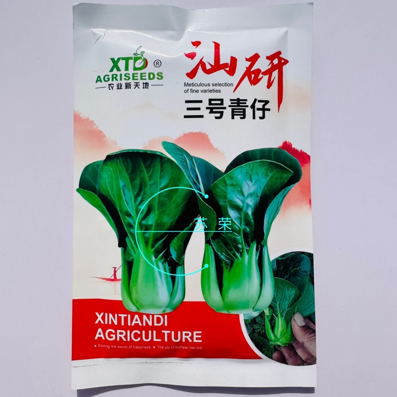 汕研三号青仔种子糯甜迷你上海青小油菜苏州青种子宁夏小青仔