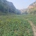 山地