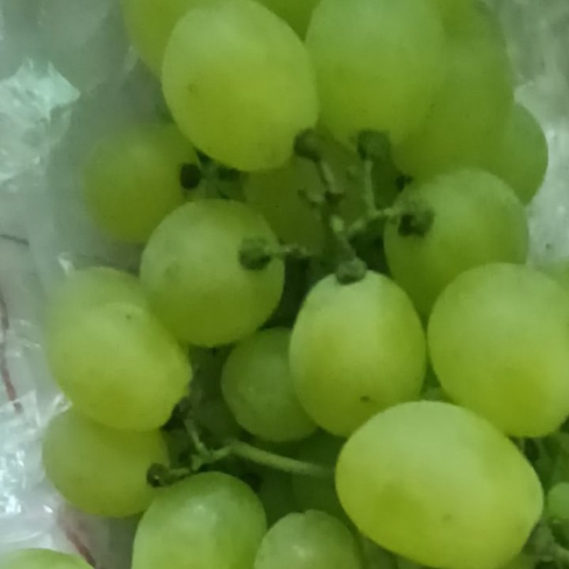 大量维多利亚葡萄上市