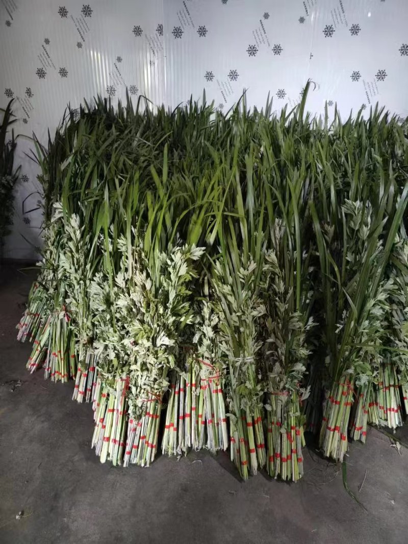 艾草，端午艾草，鲜艾草，按客户要求包装，打冷，冷藏发货