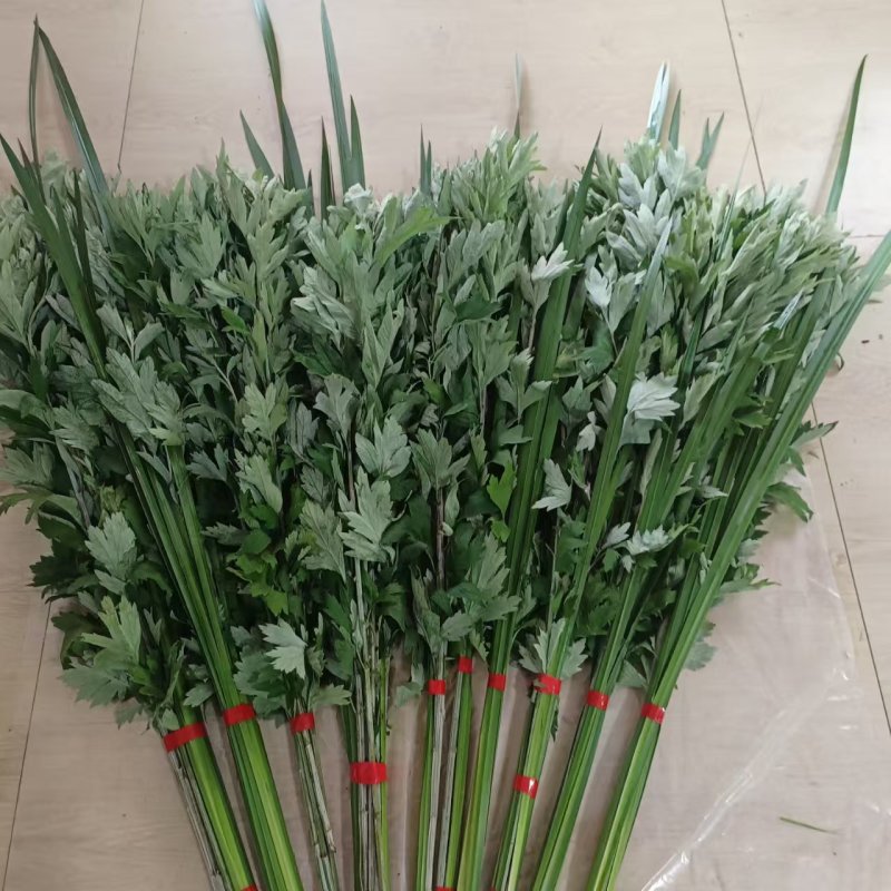 艾草，端午艾草，鲜艾草，按客户要求包装，打冷，冷藏发货