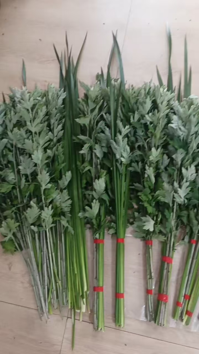 艾草，端午艾草，鲜艾草，按客户要求包装，打冷，冷藏发货