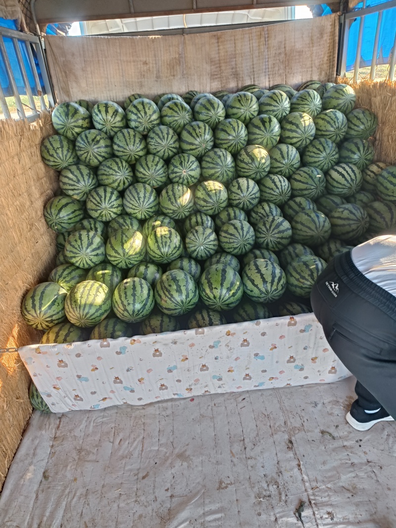 甜王西瓜