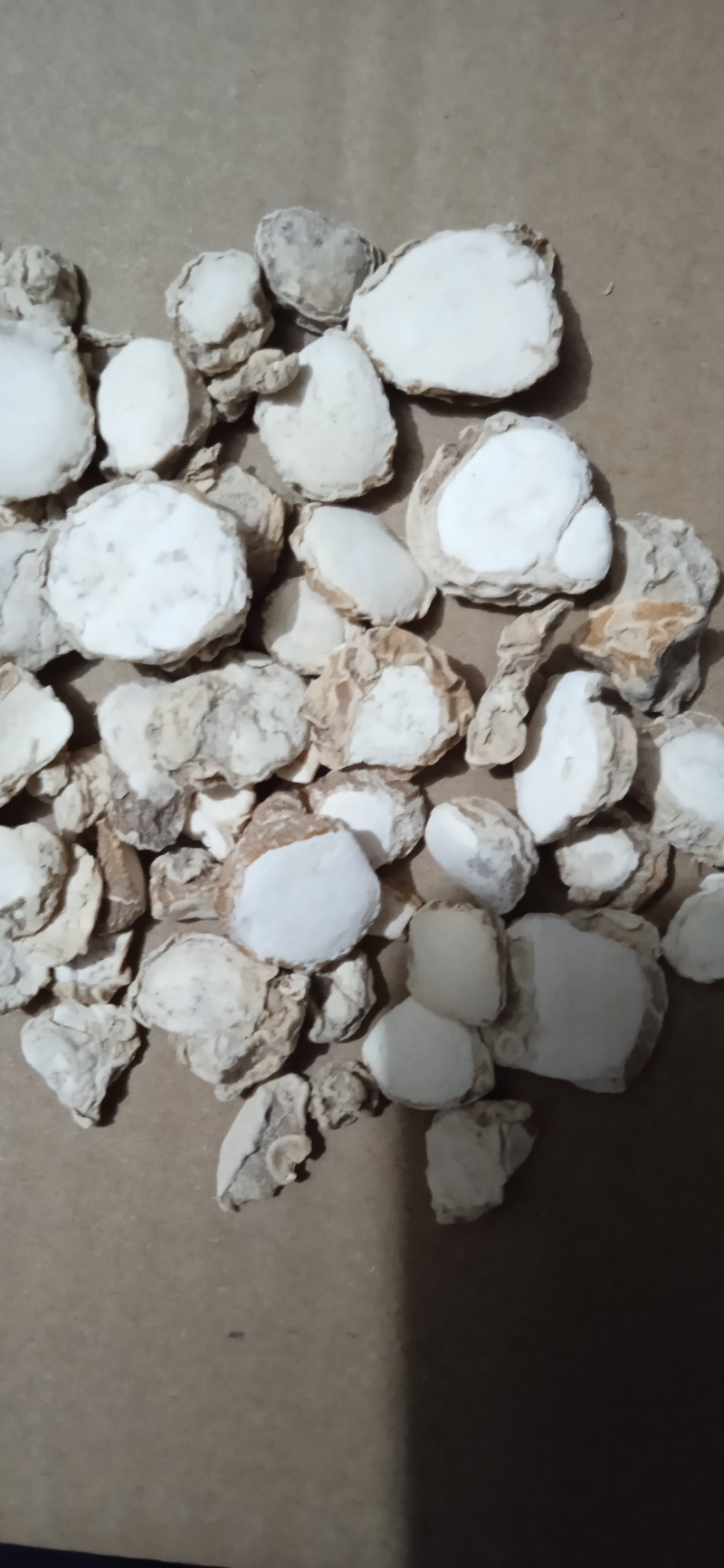 沙姜干片