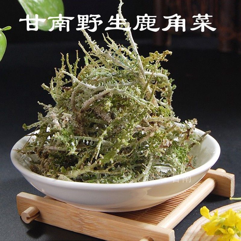 高原鹿角菜