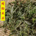 高原鹿角菜
