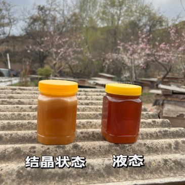 甘肃陇南来自大山深处的土蜂蜜