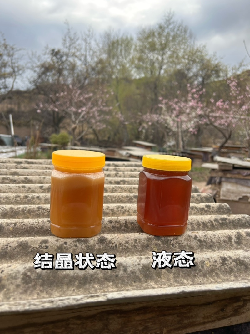 甘肃陇南来自大山深处的土蜂蜜