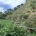 甘肃陇南来自大山深处的土蜂蜜
