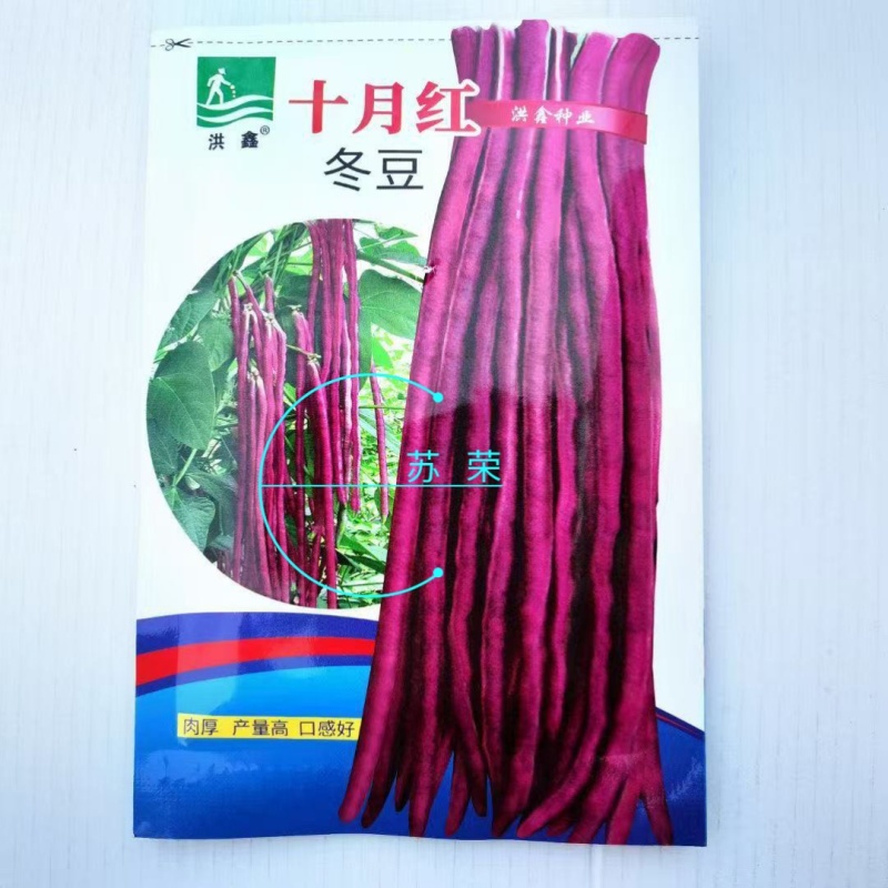 十月红冬豆角种子紫红色长豇豆菜豆种籽春秋农家庭院爬藤蔬菜