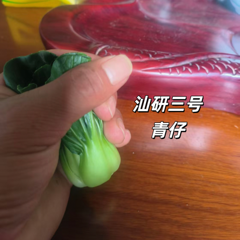 新品种广东汕研三号青仔小型苏州青宁夏小青仔种子上海青梗菜