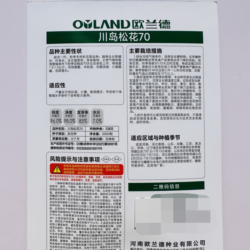 白花菜种子川岛松花70天松花菜种子秋季专用花球洁白