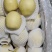 河北石家庄精品雪花梨产地直销量大从优欢迎进店咨询