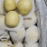 河北石家庄精品雪花梨产地直销量大从优欢迎进店咨询