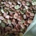 蚕豆常年大量供应蚕豆胡豆饲料级蚕豆食品级蚕豆