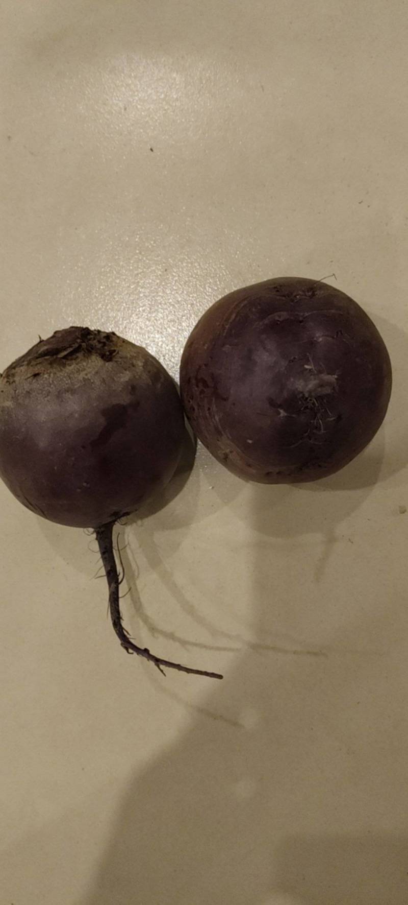 红甜菜（红菜根）