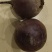 红甜菜（红菜根）