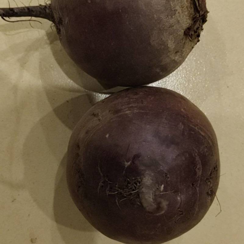 红甜菜（红菜根）