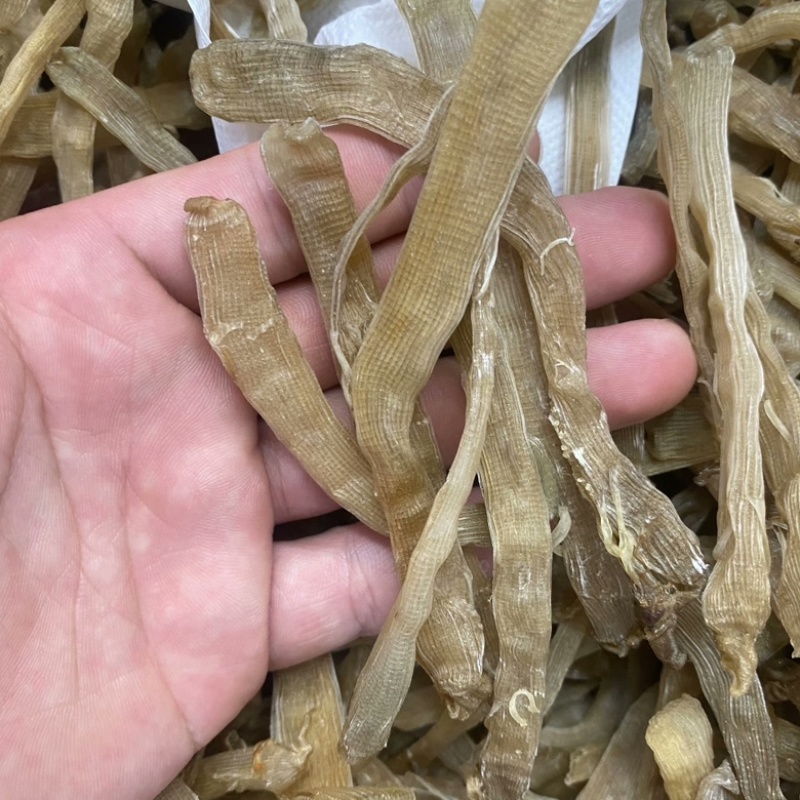 北海沙虫干