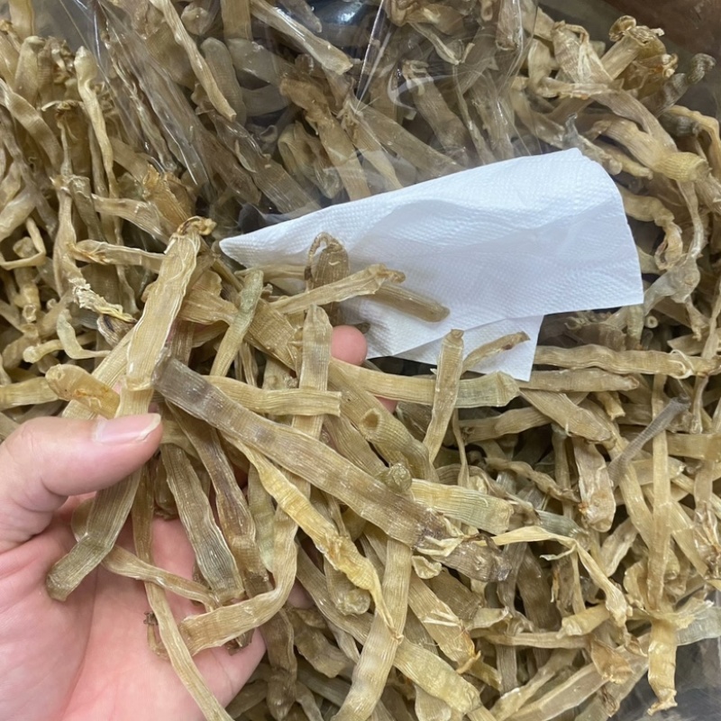 北海沙虫干