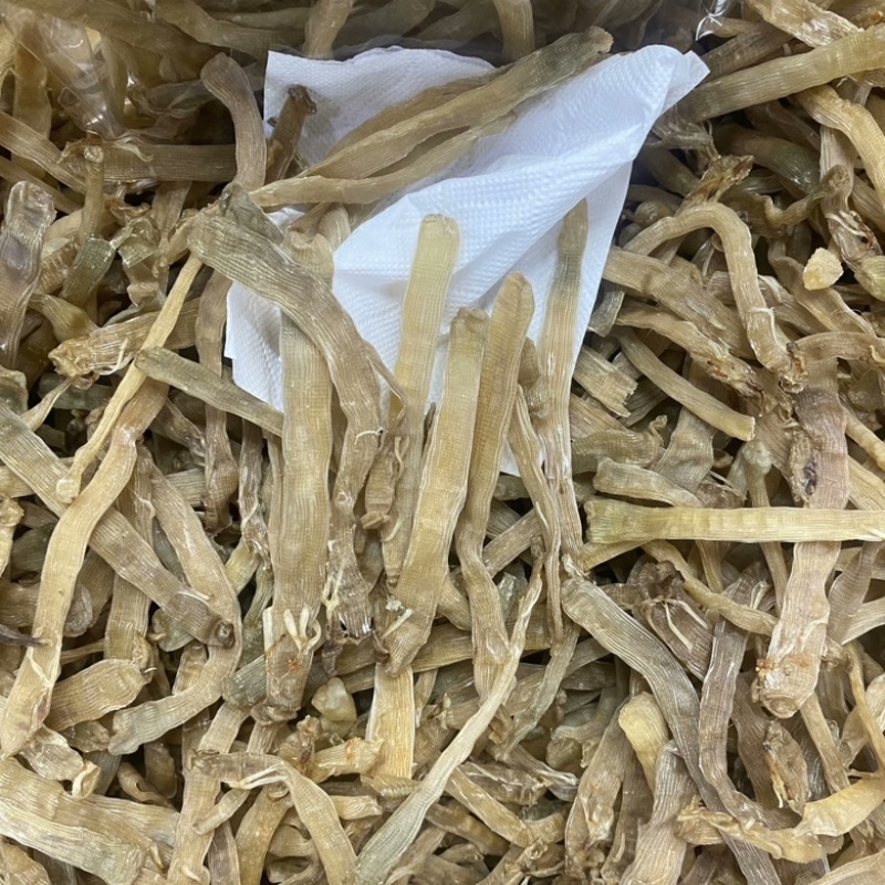 北海沙虫干