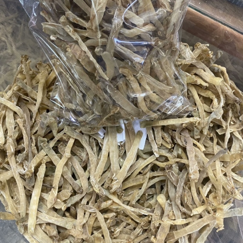 北海沙虫干