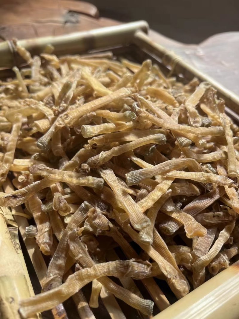 北海沙虫干批发