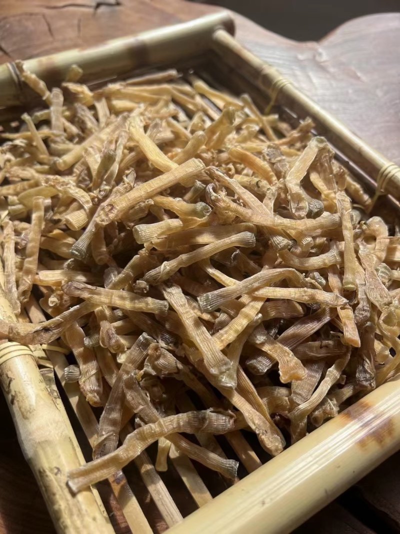 北海沙虫干批发