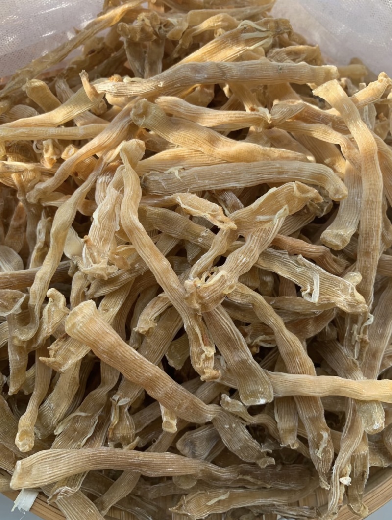 北海沙虫干批发