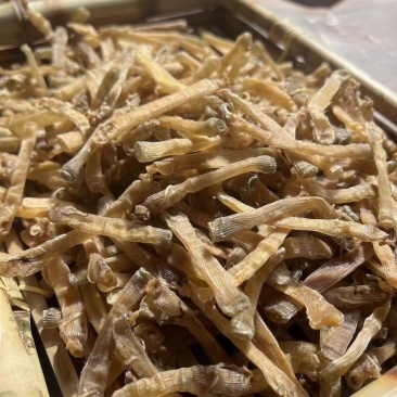 北海沙虫干批发