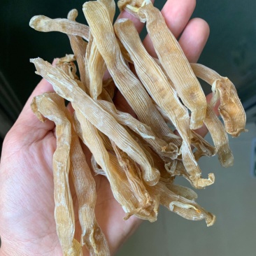 北海沙虫干