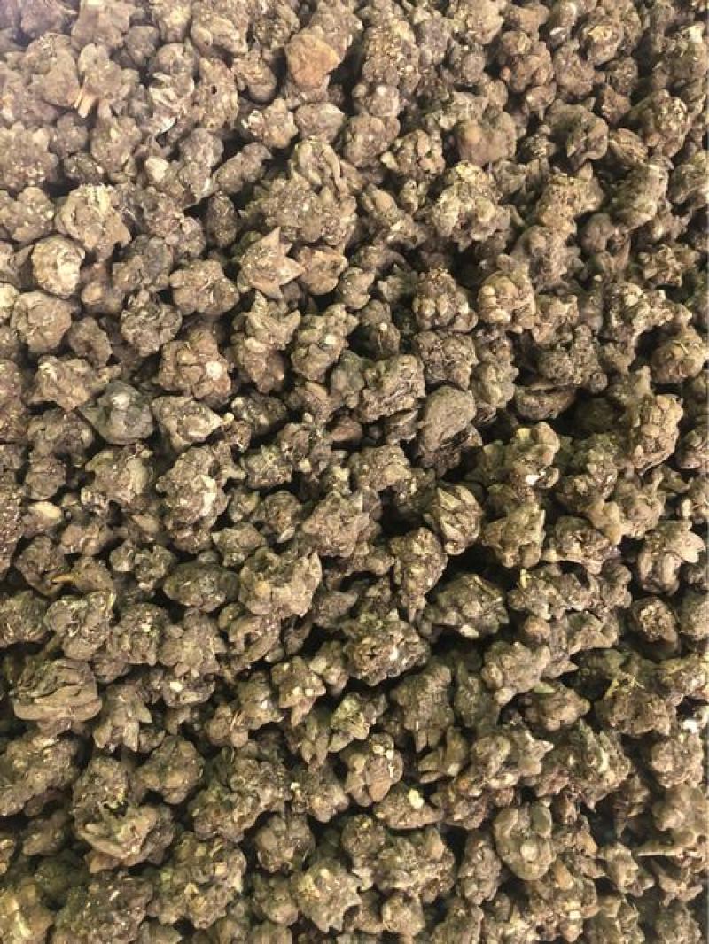 四川家种猫爪草包检还没挖