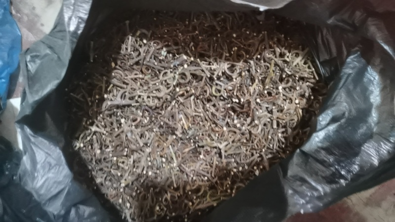 钩藤出售
