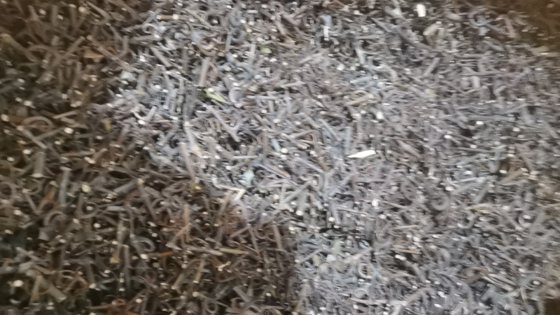 钩藤出售