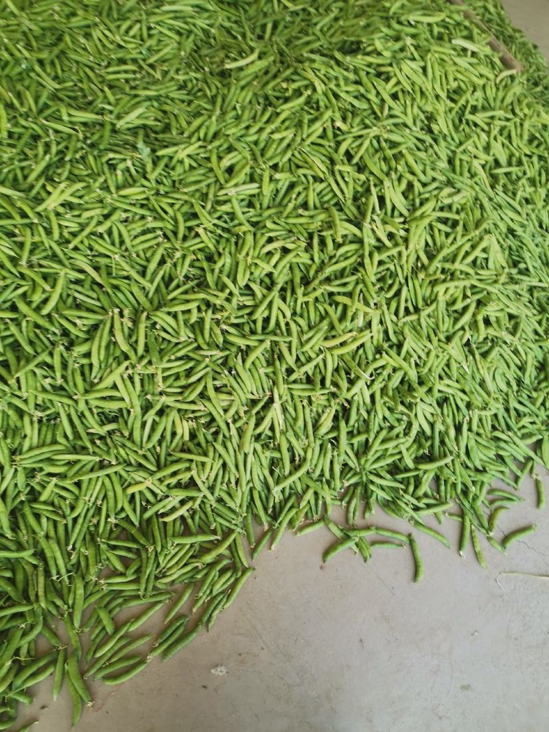 豌豆，青豌豆